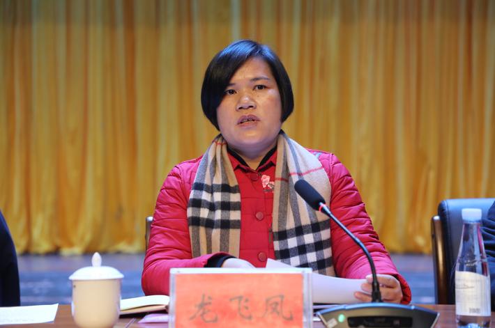 龙飞凤作会议总结_政务动态_江华瑶族自治县人民政府