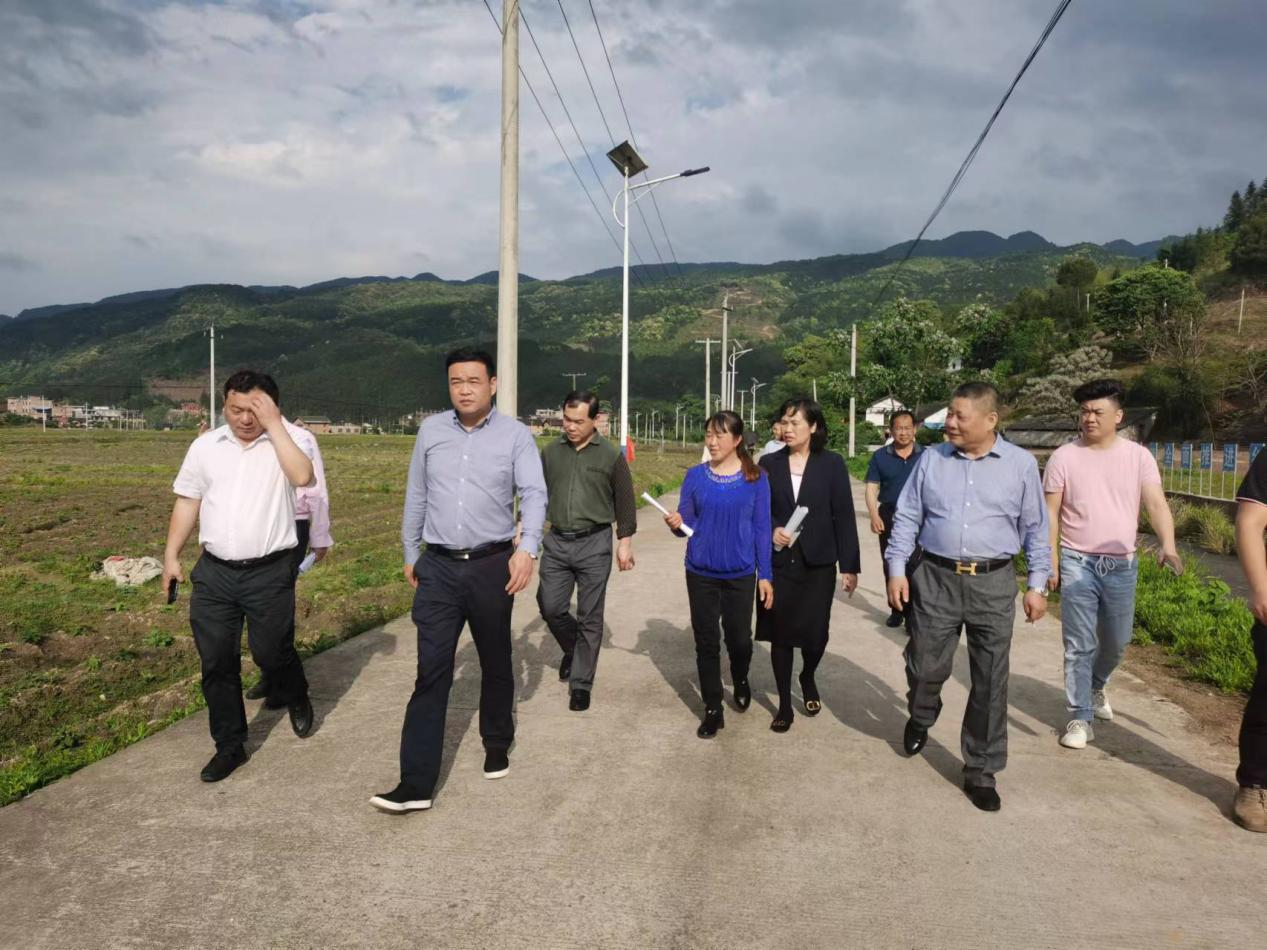 吴军臣调研指导涔天河镇石丰村乡村振兴工作_政务动态_江华瑶族自治县