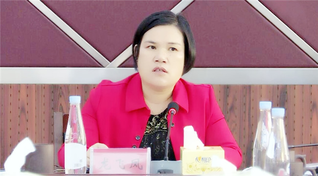 68龙飞凤表示,在"十四五"规划工作中,重点项目要衔